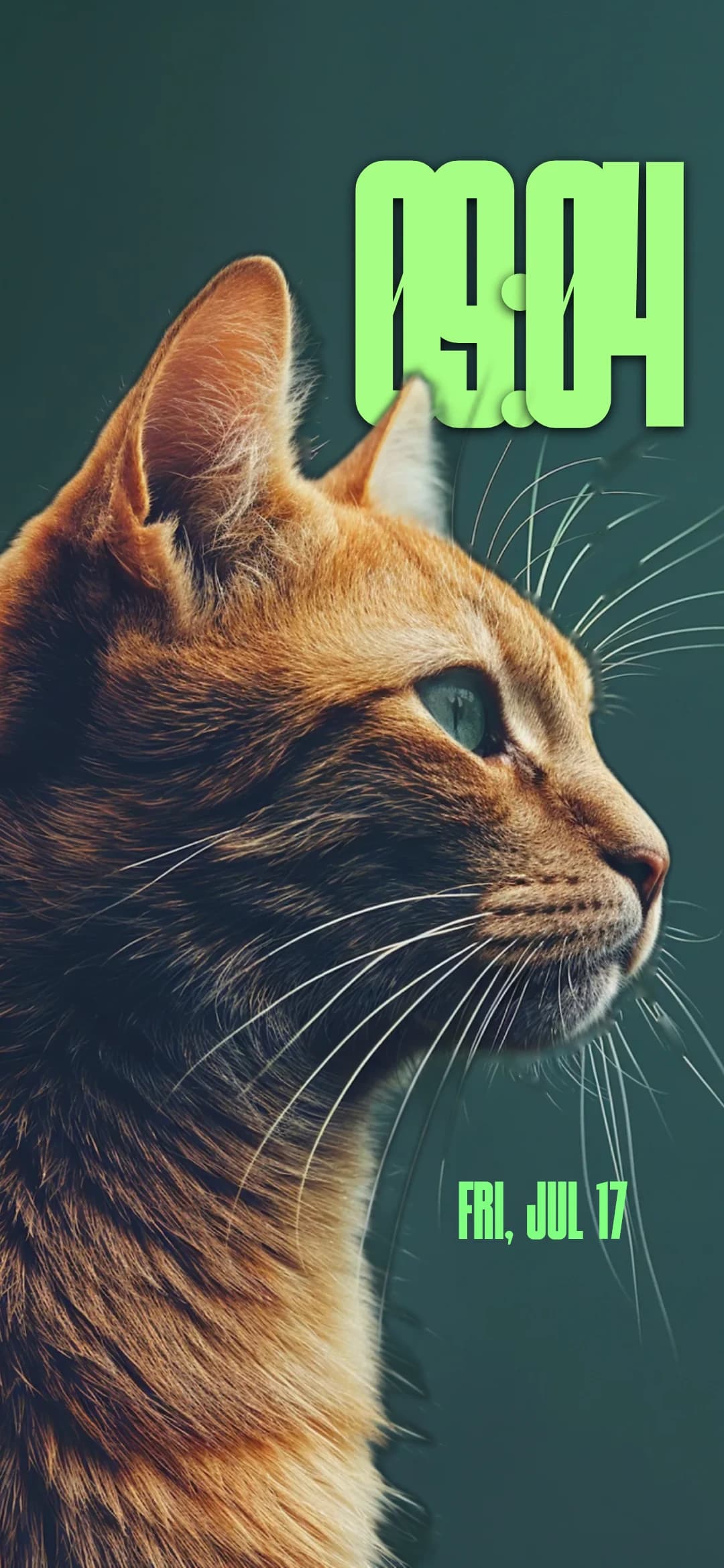 Wallpaper ad623dd7-855f-42f6-a21a-da39a4394652
