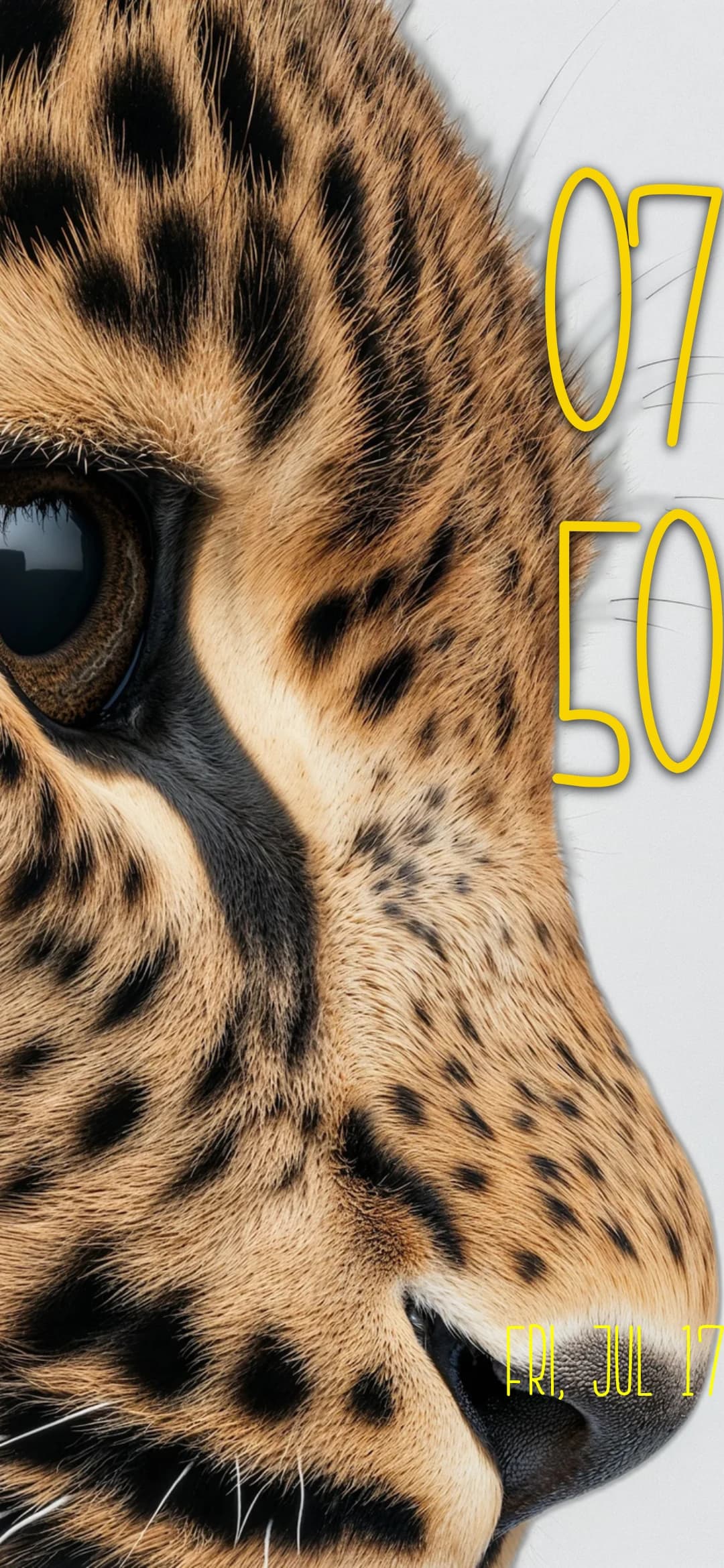 Wallpaper dd6e8c64-b411-4551-880b-b79d38bdceb7